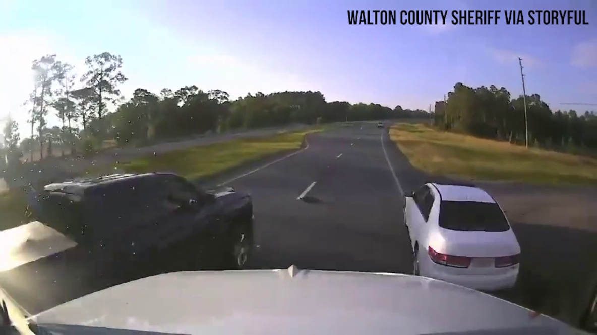 Video: Traffic jam over turtle causes crash on Florida highway